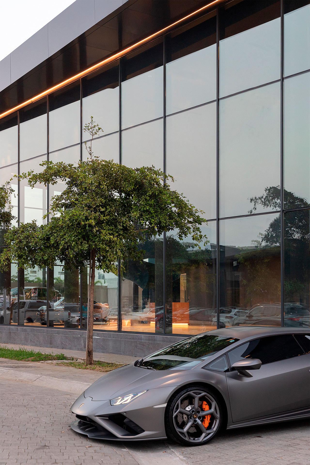 Rosati por Jannina Cabal & Arquitectos